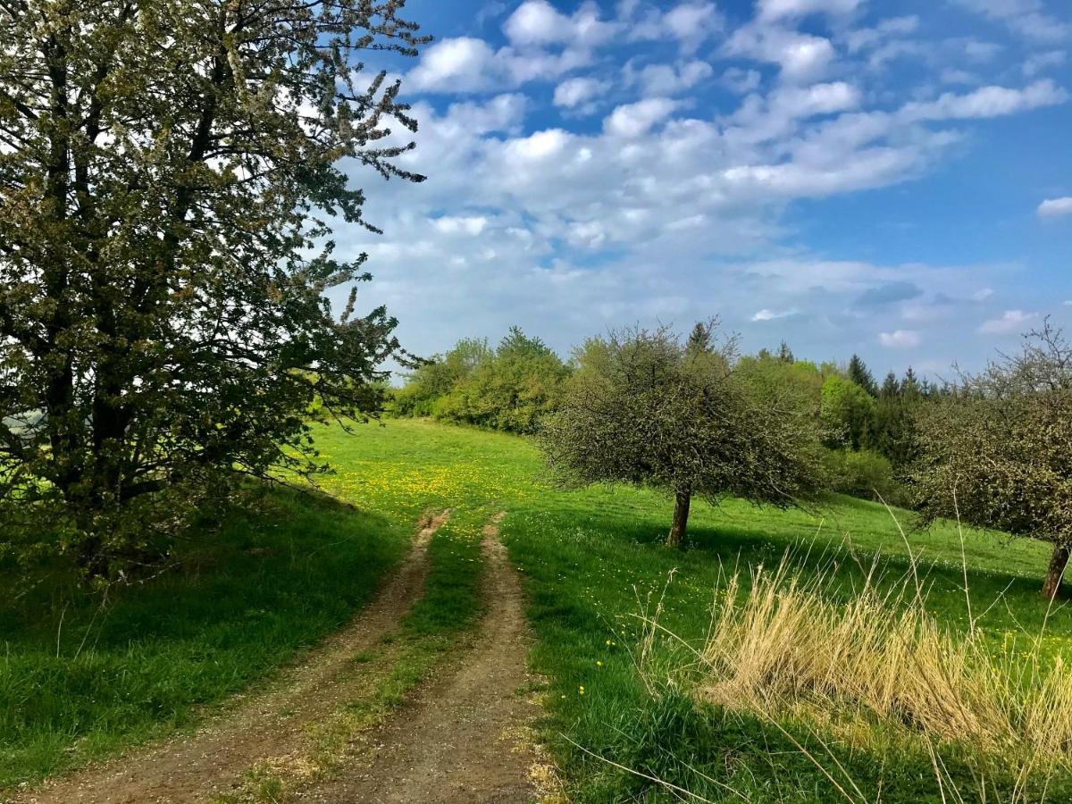 Komfort Appartement - Am Reitersberg Marpingen Eksteriør bilde